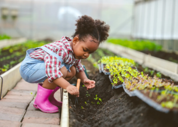 5 leuke en leerzame manieren om je kinderen over ecosystemen te leren