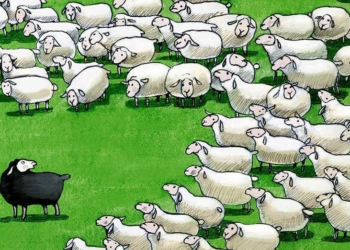 Ben jij je het zwarte schaap van de familie? Aan deze 8 signalen herken je het!