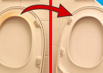 Maak een gele toiletbril zo goed als nieuw met deze geniale truc!