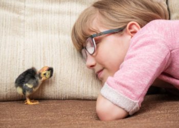 Mijn strijd met mijn broer ontstond door mijn eerlijkheid: “Ik vind zijn dochter niet mooi.”