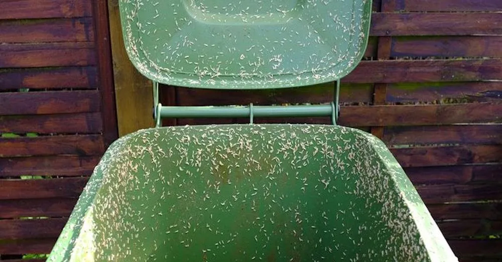 Last van een stinkende container vol vliegen of maden? Dit is de oplossing!