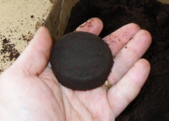 Als je ziet wat je allemaal met oud koffiedik kunt doen gooi je het nooit meer weg…