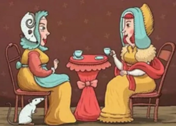 Zie jij de 2 muizen die alleen hoogintelligente personen kunnen spotten?