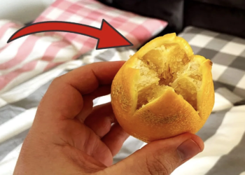 Leg een schijfje citroen naast je bed en dit is wat er gebeurt