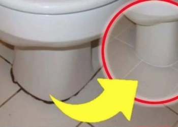 Zwarte cirkel rond het toilet? Je komt er niet vanaf tenzij je dit doet!