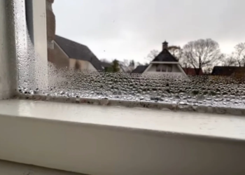 Met deze effectieve truc heb je nooit meer schimmel door natte ramen