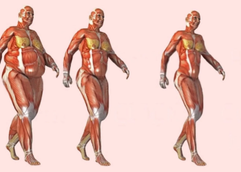 Elke dag 30 minuten wandelen heeft dit effect op jouw lichaam