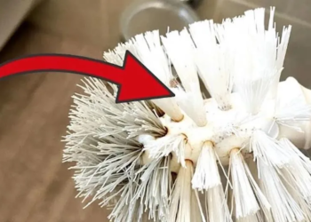 Dít is hoe vaak je de toiletborstel moet reinigen en dit is hoe! (bijna niemand doet dit)