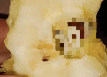 Zij bijt in een appel van de Aldi en walgt van wat ze in het klokhuis ziet!