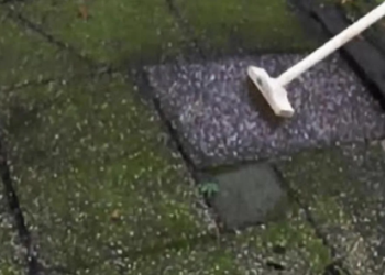 Met dit trucje kun jij binnen één minuut groene aanslag verwijderen van je tegels