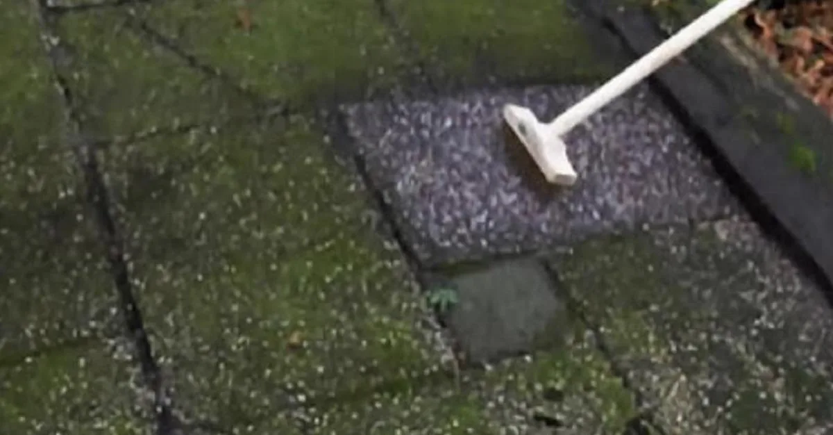 Met dit trucje kun jij binnen één minuut groene aanslag verwijderen van je tegels