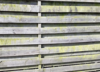 Oma weet raad: Groene aanslag op je schutting is zo verdwenen met dit ouderwetse middeltje