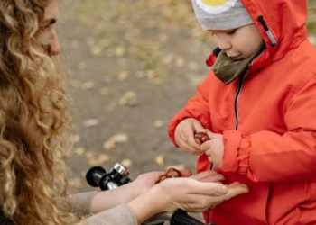 Neem jij blaadjes en kastanjes mee uit het bos? Dit kost het als je word betrapt