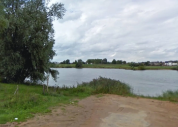 Een schokkende vondst , pups met een basteen om hun hals gevonden in de Maas