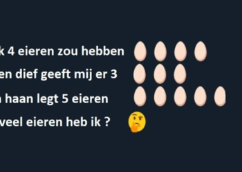 Kun jij dit raadsel oplossen? 93% zit ernaast