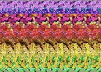 Kun jij raden wat er op de afbeelding verstopt is? De optische illusie die het web rondgaat