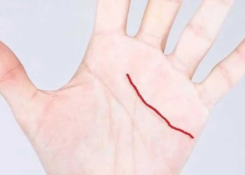 Mensen met deze handlijn zijn buitengewoon bijzonder