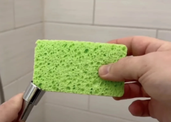 Dit is hoe je met een spons je doucheslang blinkend schoon krijgt