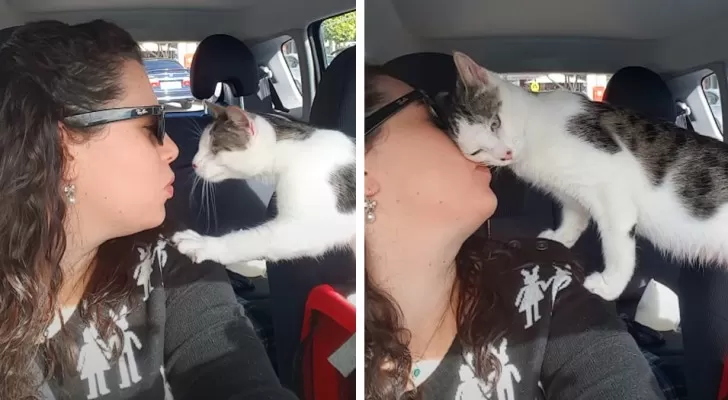 Een kat blijft het meisje bedanken dat hem redde uit een opvangcentrum vlak voordat hij zou worden afgemaakt