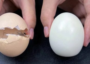 Hardgekookte eieren pellen doe je voortaan supersnel met deze Japanse methode