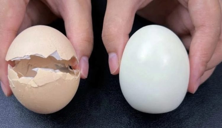 Hardgekookte eieren pellen doe je voortaan supersnel met deze Japanse methode