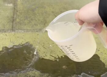 Met dit trucje kun jij binnen één minuut groene aanslag verwijderen van je tegels