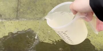 Met dit trucje kun jij binnen één minuut groene aanslag verwijderen van je tegels