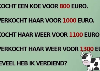 Huh!? Krijgt nou niemand dit koeienraadsel opgelost?