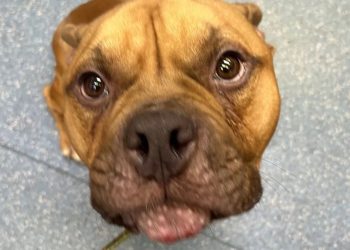 Een wonderbaarlijke redding, door één telefoontje is hij ontsnapt.