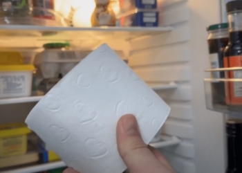 Dit is waarom je een rol wc-papier in je koelkast moet leggen! (ik doe dit nu elke avond)