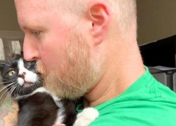 Deze man speelt met zijn huwelijk, hij wilt namelijk een kat adopteren met drie pootjes en zijn vrouw niet!