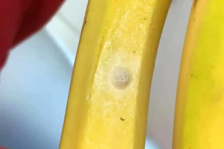 Kweker waarschuwt voor bananen met een witte stip: “Koop deze niet!”