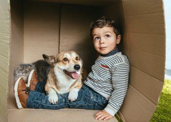 Emotionele en fysieke voordelen van huisdieren voor kinderen