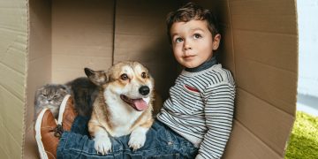 Emotionele en fysieke voordelen van huisdieren voor kinderen