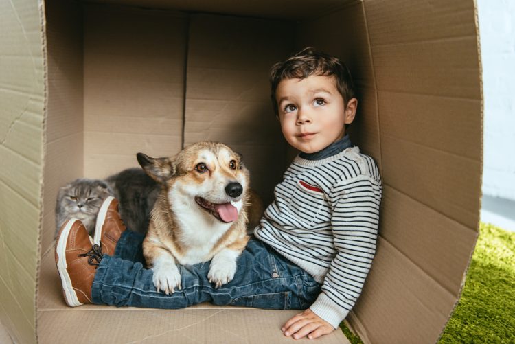 Emotionele en fysieke voordelen van huisdieren voor kinderen