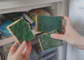 Dit gebeurt er als je drie schuursponzen in de vriezer legt: het resultaat zal je verbazen