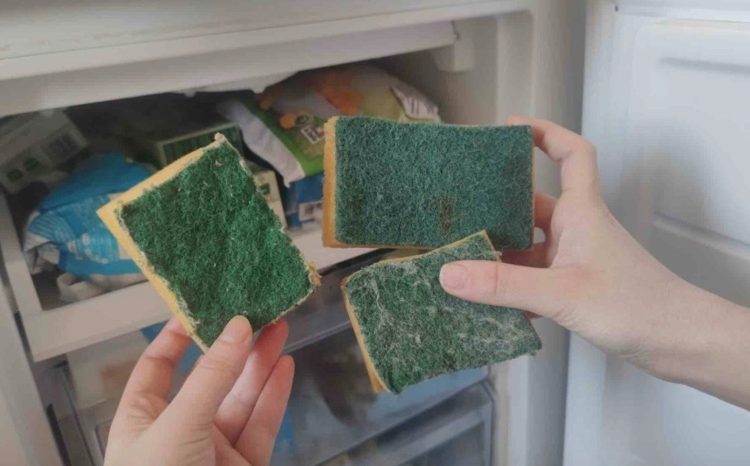 Dit gebeurt er als je drie schuursponzen in de vriezer legt: het resultaat zal je verbazen