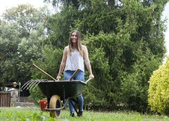 Dit kan je deze maand doen voor een prachtige zomertuin