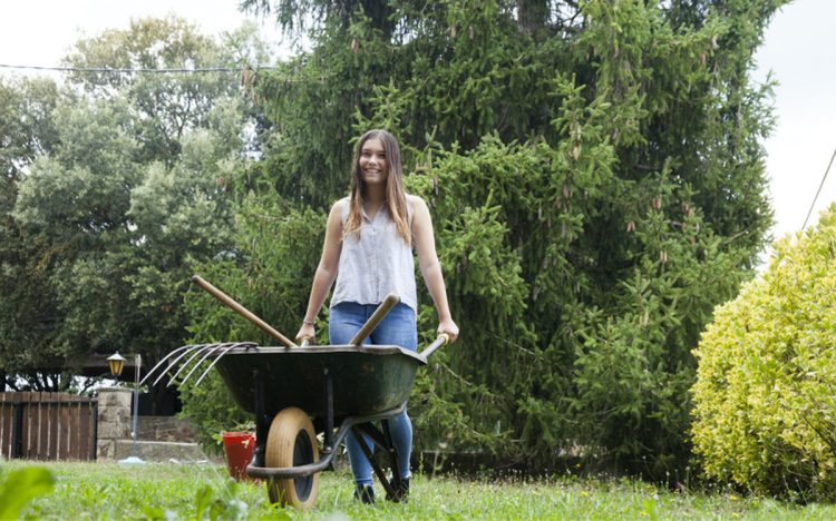 Dit kan je deze maand doen voor een prachtige zomertuin