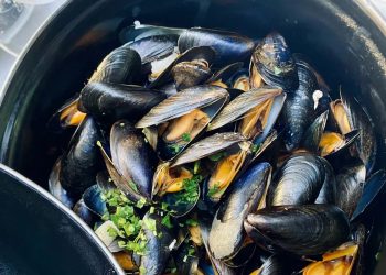 Enorm slecht nieuws voor de liefhebbers van mosselen: “Dit staat je te wachten”
