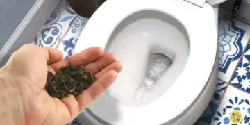 Zo verwijder je effectief urinegeur uit het toilet en zorg je voor een frisse geur!