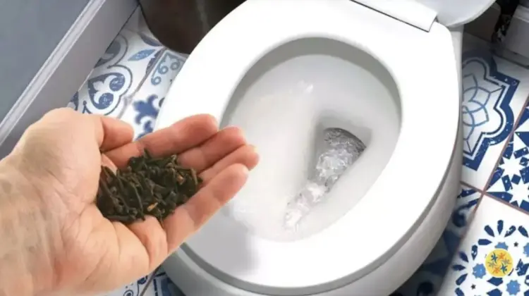 Zo verwijder je effectief urinegeur uit het toilet en zorg je voor een frisse geur!
