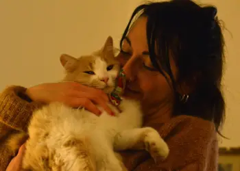 Agnes (58) kiest voor haar katten: “Mijn vermogen gaat naar hen, niet naar mijn kinderen ze komen nooit langs”