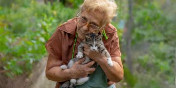 Agnes (78): “Ik schenk mijn vermogen aan mijn katten, mijn kinderen komen toch nooit langs”