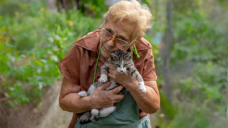 Agnes (78): “Ik schenk mijn vermogen aan mijn katten, mijn kinderen komen toch nooit langs”