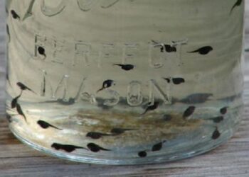 Kinderpret van vroeger: Herken je deze activiteit nog?