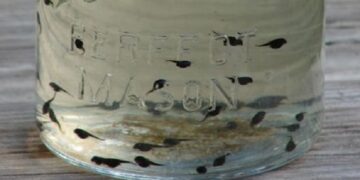 Kinderpret van vroeger: Herken je deze activiteit nog?