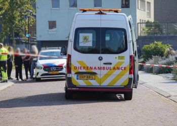 Politieagent schiet hond Luna dood na gevecht met kat: “Ze was niet gevaarlijk”