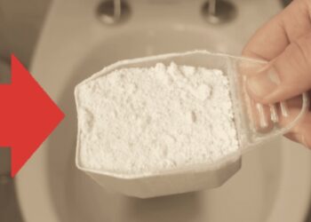 Gooi waspoeder in jouw toilet en kijk wat er gebeurt…