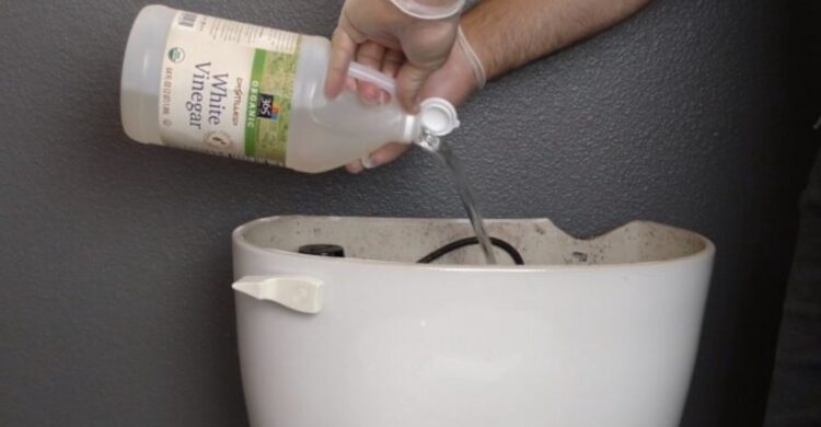 Gooi eens zijn in de stortbak van je toilet het resultaat.. Geweldig!